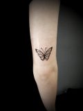 Butterfly-scaled