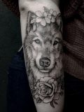 Wolf